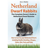 Conejos Enanos De Holanda La Guia Completa Para Los Propieta