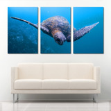 Cuadro Tortuga Mar Azul Animales Moderno 168x86cm 3pz