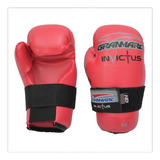 Protectores Taekwondo Gran Marc Invictus