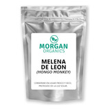 Melena De Leon En Polvo (100%) Orgánico | 50 Gramos