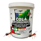 Cola Entomológica Barreira Formigas Armadilha Insetos 1kg