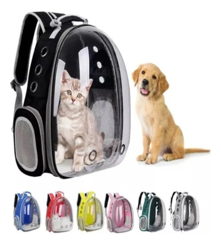 Bolsa De Transporte Portátil Gatos Mochila Transparente Pet