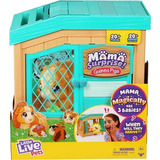 Little Live Pets Mama Surprise! 26410 Conejito De Indias Srj