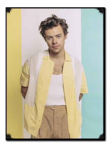 #1157 - Cuadro Decorativo Vintage Harry Styles Música Poster