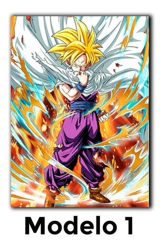 Cuadros Decorativos Dragon Ball Z - Gohan