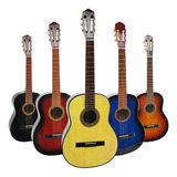 Guitarra Electrocriolla Superior Funda Pua Colores Garantia
