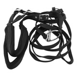 Brida Halter Para Caballo Con Broca Y Rienda B, Ajustable