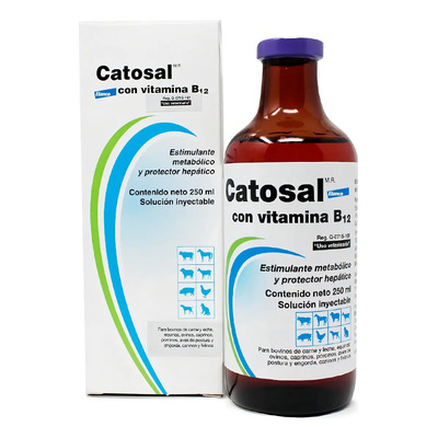 Catosal B12 250 Ml 85467662 | Envío gratis
