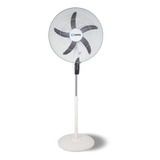 Ventilador Vitta De Pie 20 Pulgadas 95 W 3 Velocidades