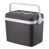 Cooler Nevera Ratan 30 Lt Cava Portatil Para Camping