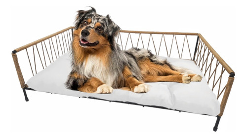 Cama Cucha Perro Grande Rectangular Simil Yute Con Almohadón