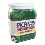 Semilla Cesped Dichondra Pasto Picasso X 1 Kg