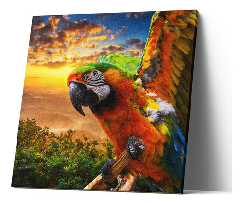 Cuadro Canvas Decorativo Guacamaya Atard 1042840942 60x60 Cm