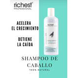 Shampoo 100% Natural Y Orgánico Sin Sulfatos Y Parabenos 