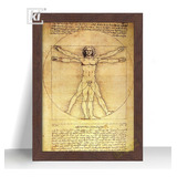 Quadro Decorativo Homem Vitruviano Leonardo Da Vinci A4 32cm