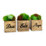 Kit Decoração Trio De Cachepot Pinus - Enfeite Para Rack 