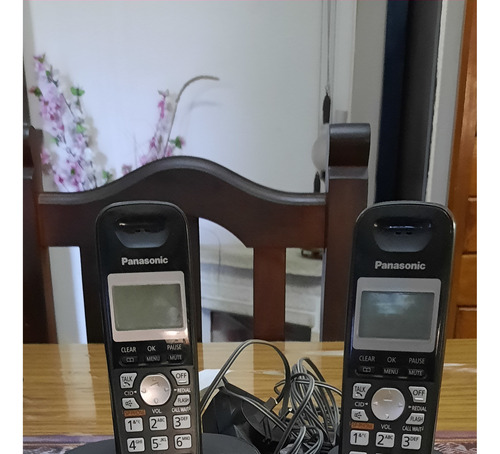 Teléfono Panasonic Kx-tg4022 Inalámbrico