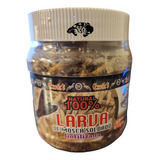 Larva Mosca Soldado Liofilizada 50g Alimento Insectivoros