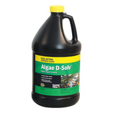 Algae D-solv - Alguicida Registrado