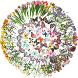 Pegatinas Transparentes Con Diseño De Flores Y Mariposas, 36