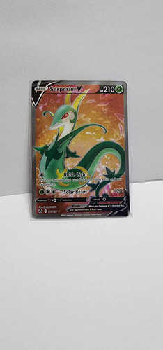 Tarjeta Carta Pokemon Go Violeta Pikachu Serperior V Tgc