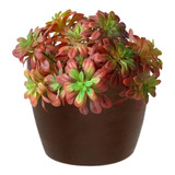 18 Suculentas De Echeveria Artificiais Preço Atacado P/ Vaso