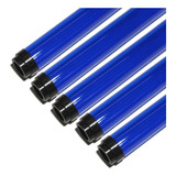 Paquete 5 Protectores Tubo Fluorescente T-8 122 Cm Azul