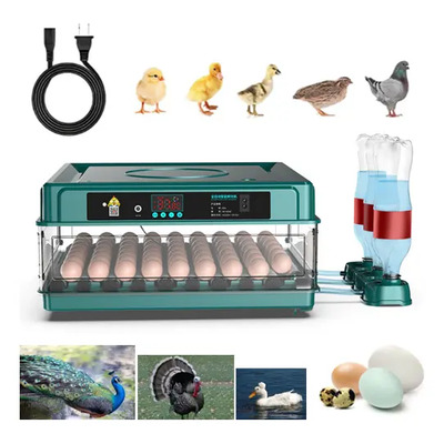 Incubadora Y Criadora 2 En 1 Gran Capacidad Hasta 64 Huevos, Gallina Para Codorniz\u002Fpaloma Ect., 120 Min Volteo Automático Control Temperatura Preciso Sistema Inyección Agua Automático, 12v Emergencia | Envío gratis