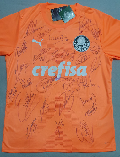 Camisa Palmeiras Autografada Por Abel E 25 Jogadores 2024