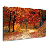 Quadro Para Decoração Caminho Floresta Sala Quarto Corredor Cor Imagem Cor Da Armação Borda Infinita