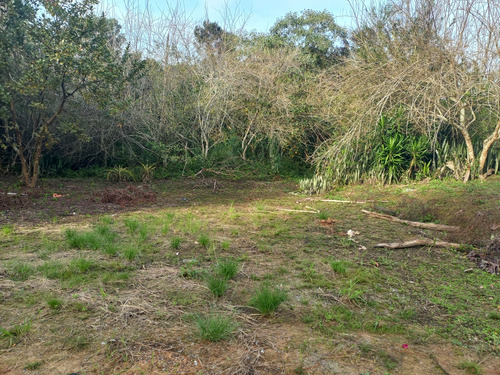 Chácara A Venda - Imagen 4