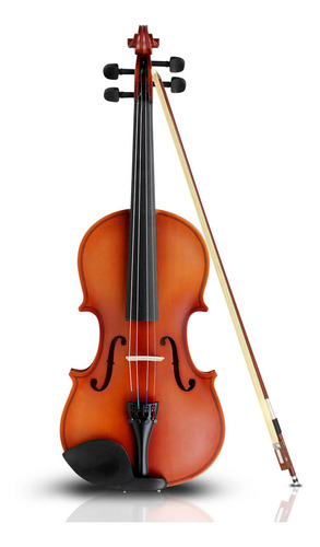 Violin 4-4 Acustico Profesional Madera Estuche Y Accesorios