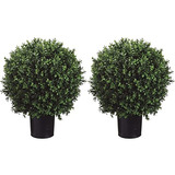 Company Inc Two 2 Foot Outdoor Artificial Boxwood Ball ...