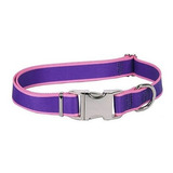 Collar De Perro De Raya Rosa Claro, Extra Pequeño 8 ''- 12''