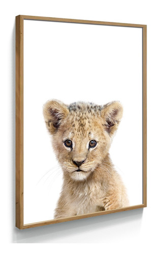 Quadro Decorativo Filhote Animal Para Parede Quarto Criança