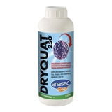 Amonio Cuaternario Dryquat Anasac 1 Lt.