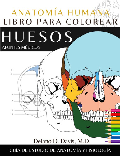 Libro: Anatomía Humana: Libro Para Colorear: Huesos Atlas De