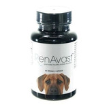 Renavast Dogs 1000mg (60 Comprimidos) - Inovet