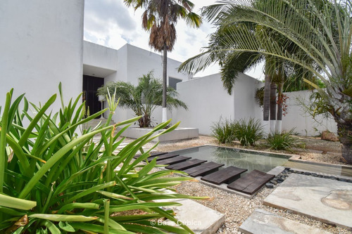 Increíble Casa Con Arquitectura Japonesa En La Colonia Campe