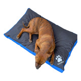 Colchon Cama 120x70cm Perros Grandes Antidesgarro +cotitas