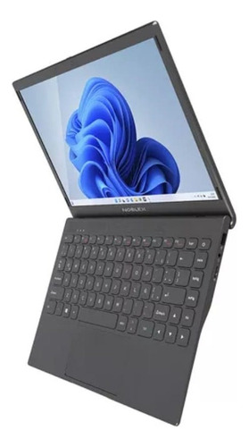 Notebook Celeron Noblex