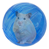 Bola Para Hamster Em Acrílico Com Suporte - Savana Pet