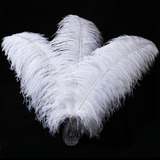 Larryhot Plumas De Avestruz Grandes Blancas  16-18 Pulgadas