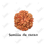 Semilla De Cacao 100% Natural, Pura 500 Gramos