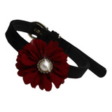 Hpa Nunbell Collar Terciopelo Con Flor #060631