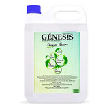 Shampoo Genesis Neutro 4800ml (alquimia)