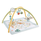 Fisher-price Baby Gimnasio Para Bebés Primeros Sentidos Color Multicolor