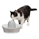 Petsafe Fuentes De Agua De Ceramica Para Perros Y Gatos - F