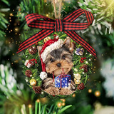 Yorkshire Terrier Sombrero Corona Del Yorkie Amante De ...