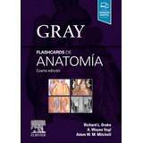 Flashcards De Anatomia - Gray